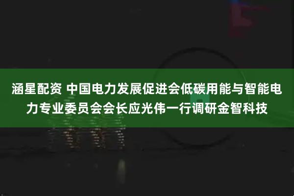 涵星配资 中国电力发展促进会低碳用能与智能电力专业委员会会长应光伟一行调研金智科技